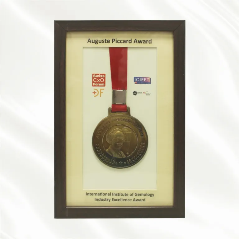 Auguste Piccard Award 2025